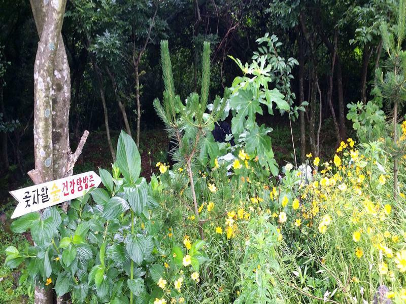 Gotjawal Geomunoreum Pension เมืองเชจู ภายนอก รูปภาพ